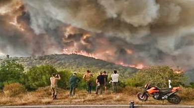 غابات اليونان تحترق ومعها تنوعها البيولوجي
